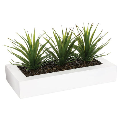 Centro De Mesa - 3 Aloe Vera - Altura 17 Cm_0