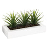 Centro De Mesa - 3 Aloe Vera - L.35 X P.14,8 X A 17, Verde