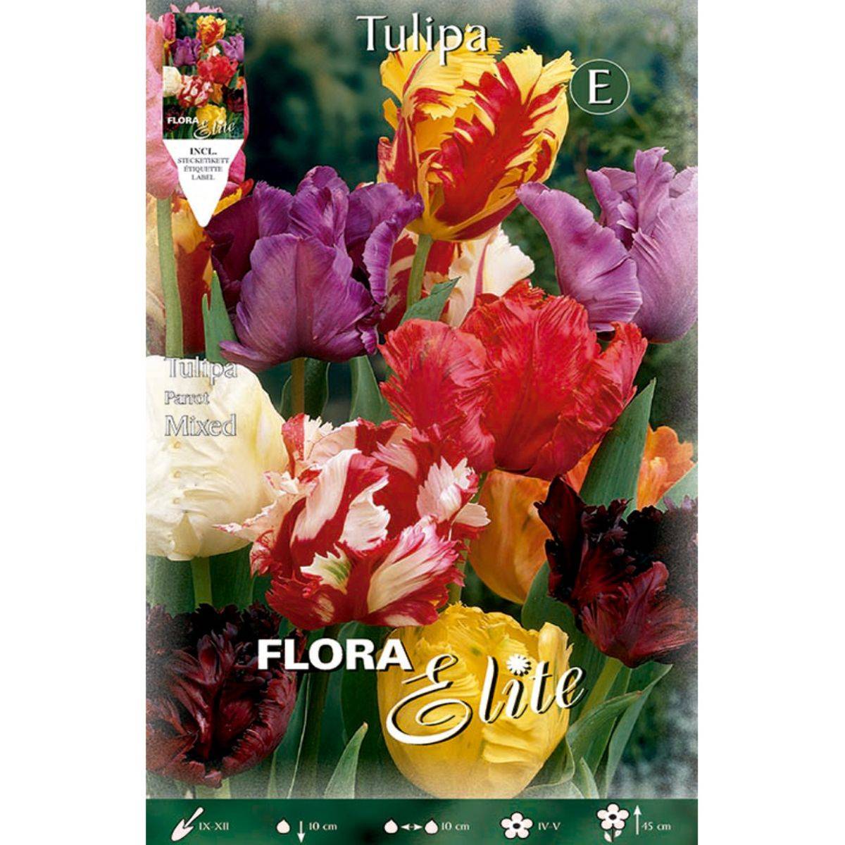 Bulbos Tulipán Papagayo mezcla 7 uds