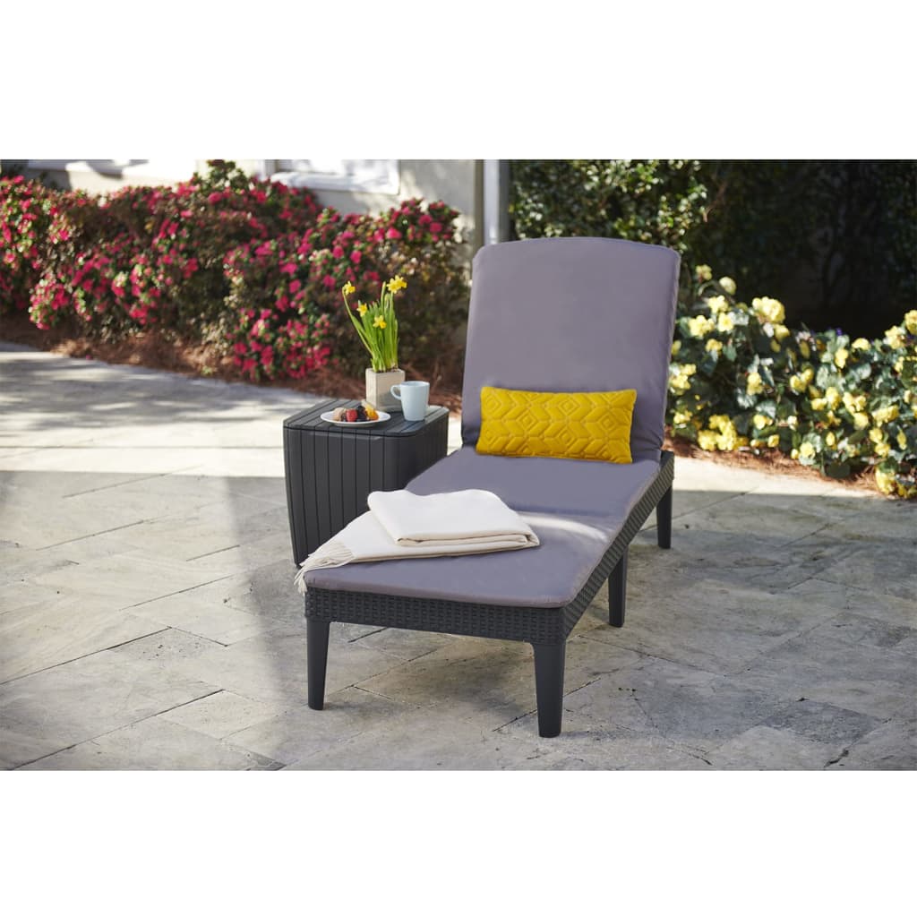 Keter Tumbona De Jardín Con Cojín Jaipur Piscina Terraza Resina Grafito Anxpxal Cm 58x187,5x29_3