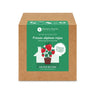 Kit de autocultivo Fresas alpinas rojas Planeta Huerto