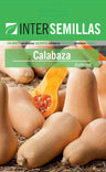 Calabaza Butternut Sobre Semillas Clasico Sellado