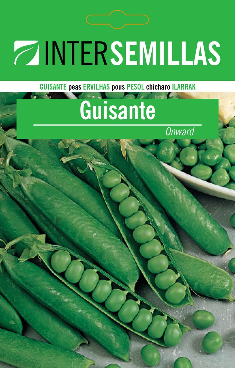 Sobre De Semillas Guisante Onward
