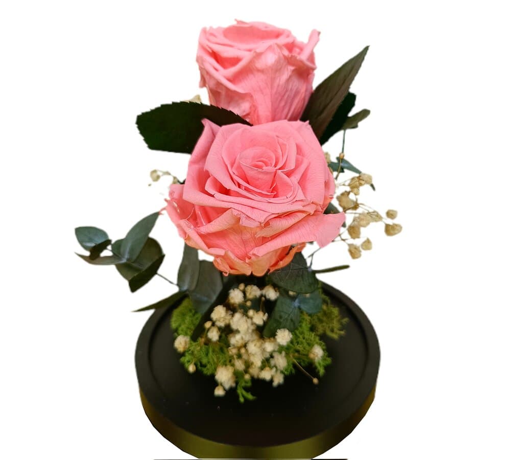 Cúpula 2 Rosas Rosa 12x20cm_1