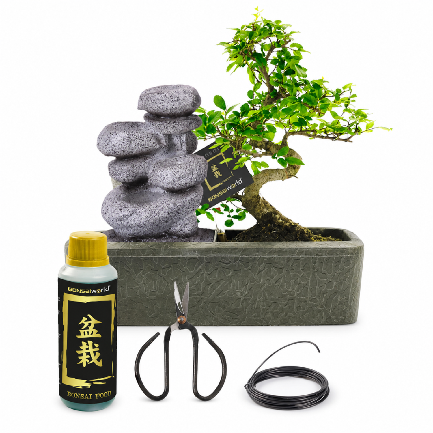 Bonsái Forma S - Cascada Zen - Incl. Tijeras Y Alimento_0