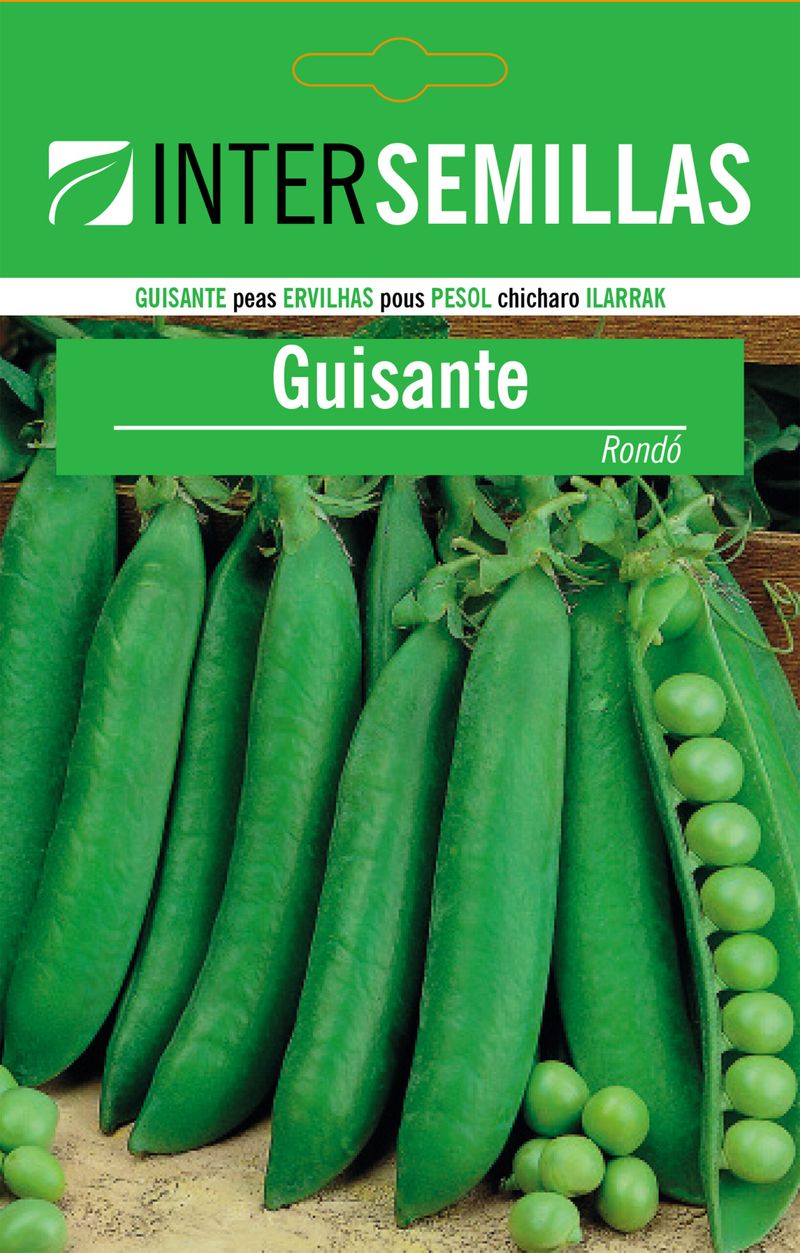 Sobre Semillas Guisante Rondo