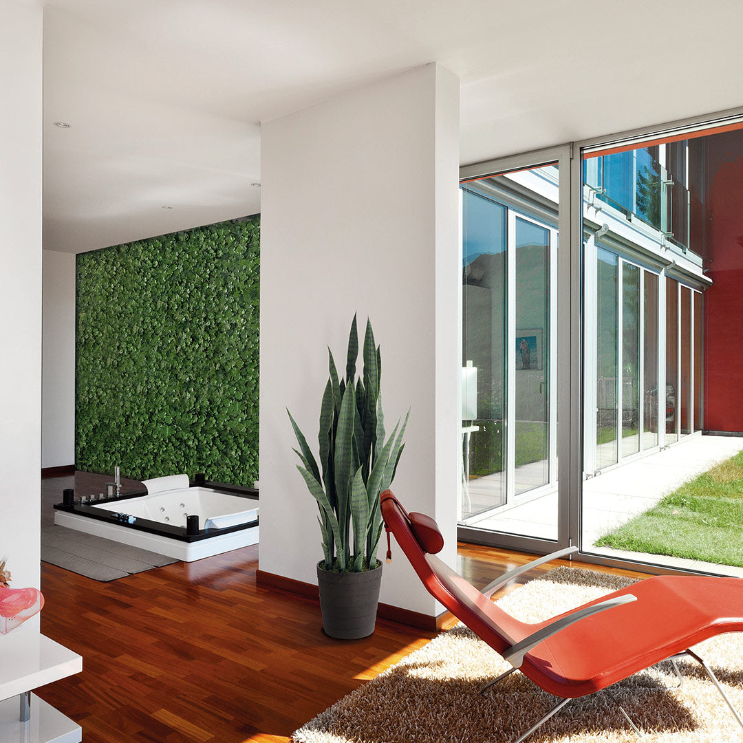 Planta Artificial Lengua De Tigre - Decoración Natural Sin Mantenimiento 1.05 M / Multicolor_0