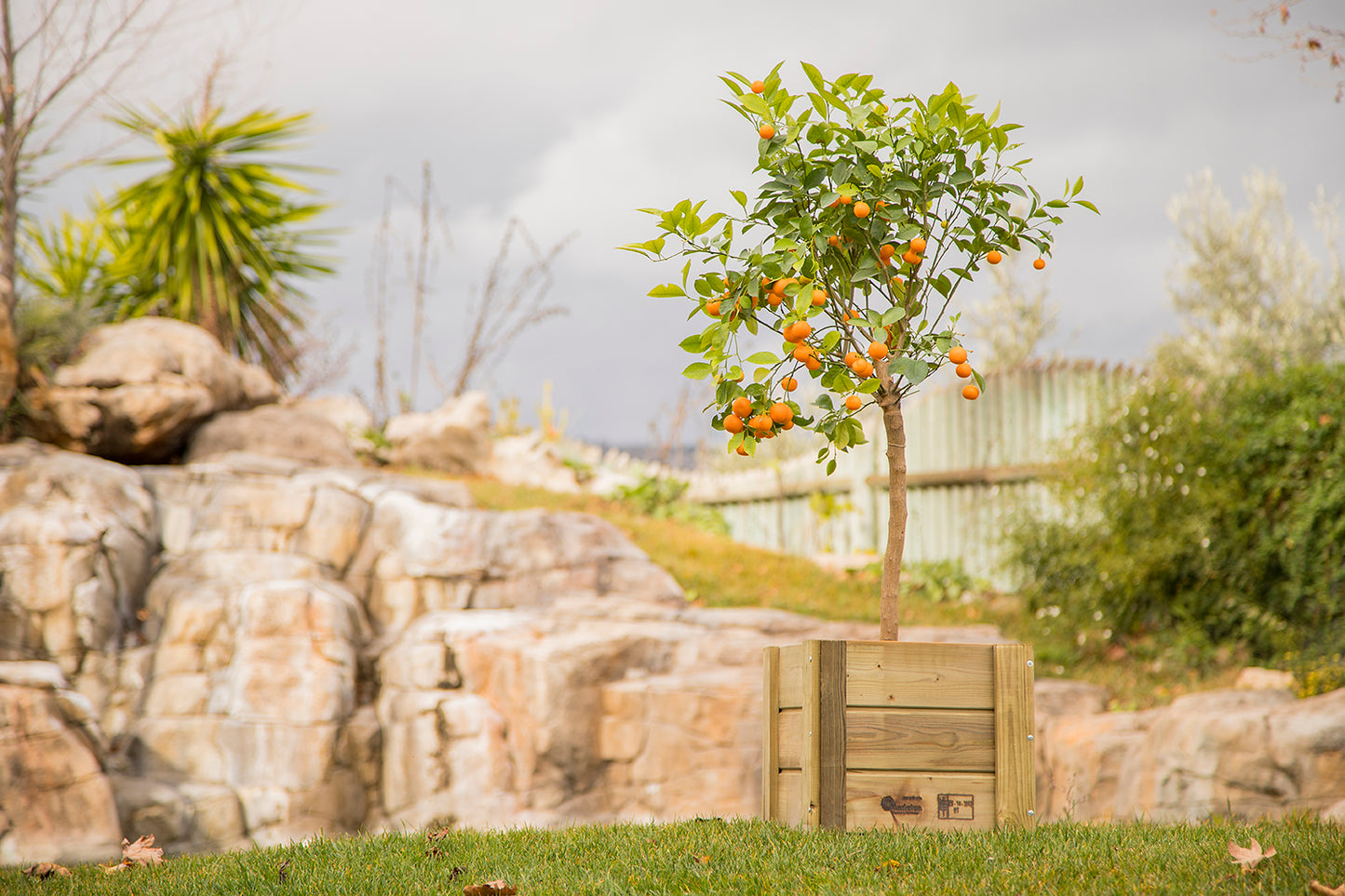 Macetero Elche Cuadrado De Madera Tratada Autoclave Riesgo Iv De 60 X 60 X 52 Cm 105l Para Exterior.._4