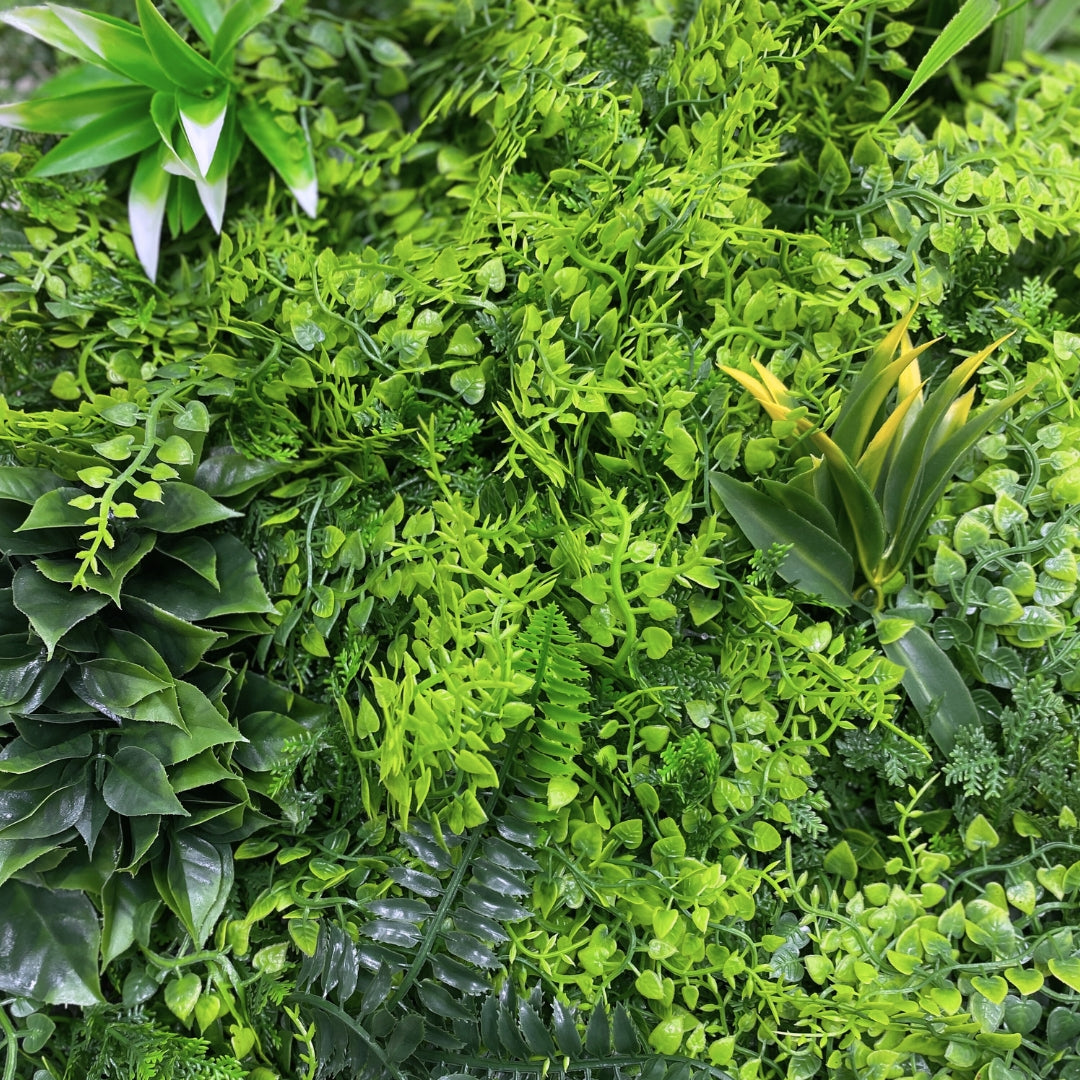 Rollo Jardín Vertical Leafy - Decoración Natural 1x1 M / Multicolor_3