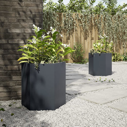 Jardineras Hexagonales 2 Uds Acero Antracita 46x40x45 Cm_3