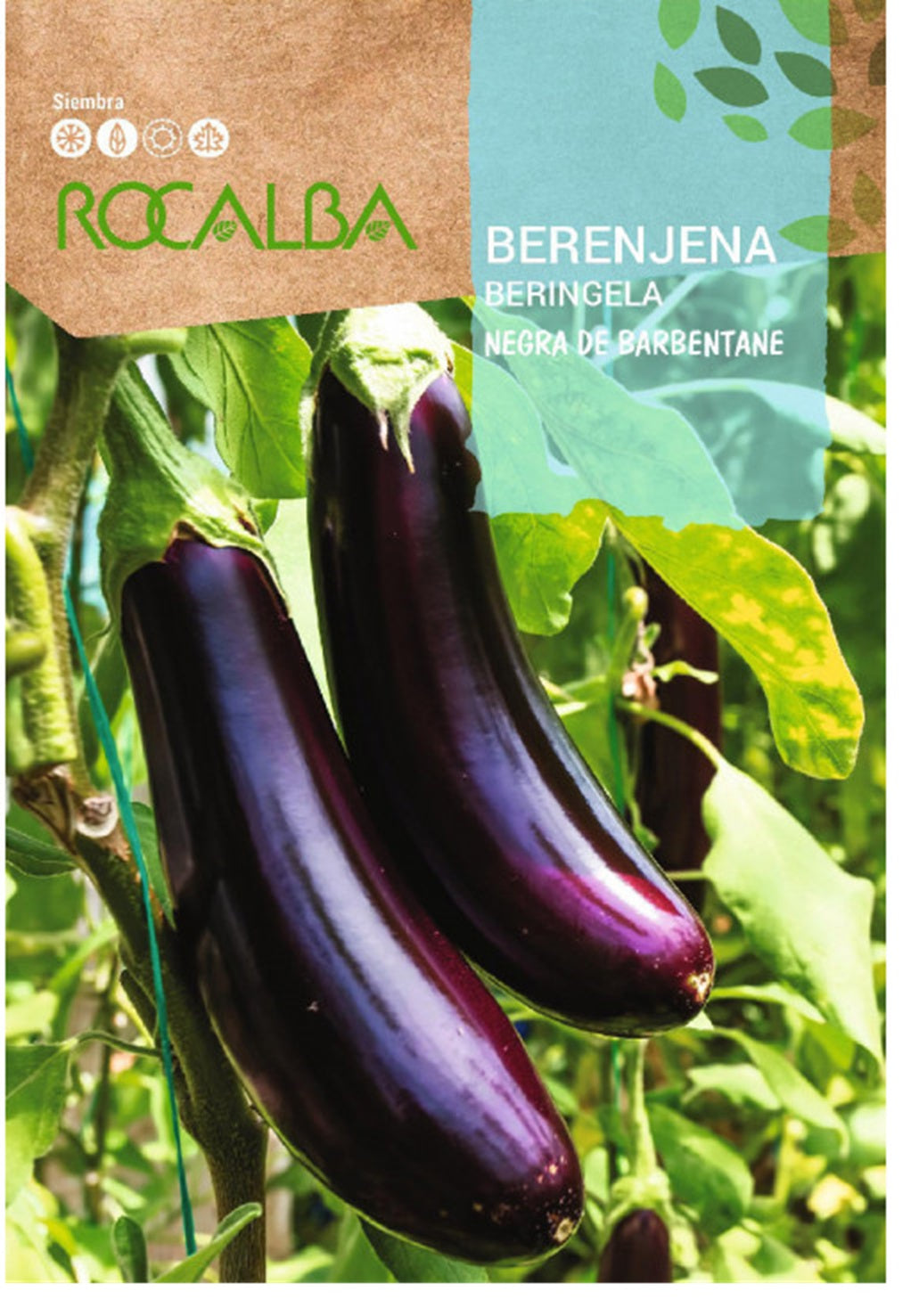 Semillas Berenjena Negra De Barbentane 3g_0