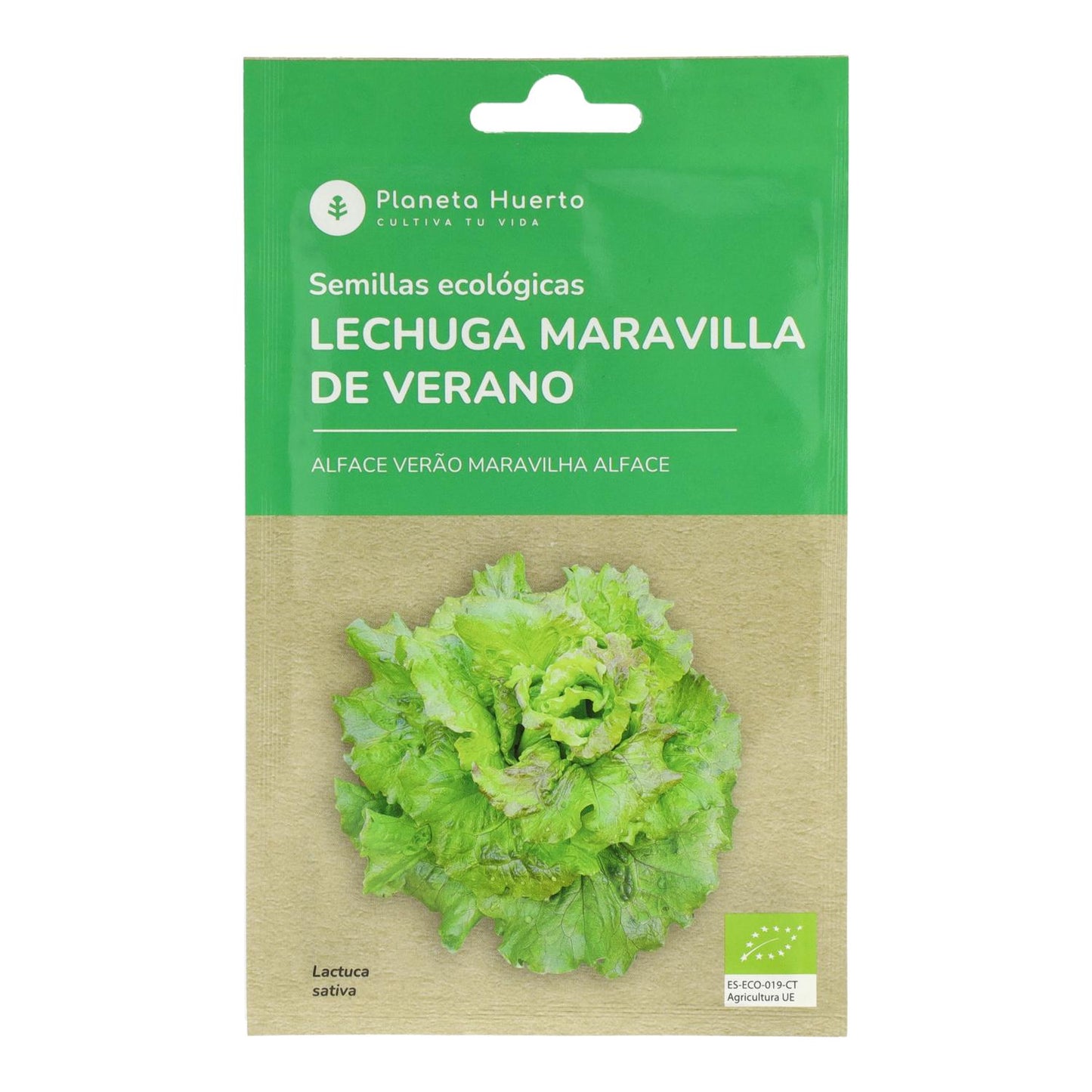 Semillas de Lechuga maravilla de verano ecológicas Planeta Huerto
