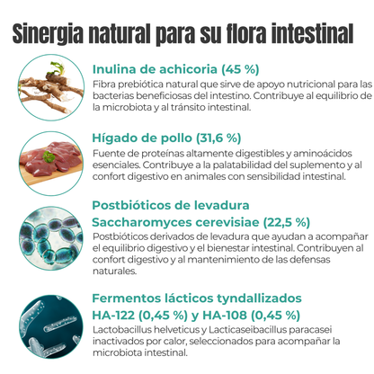 Suplemento natural para la digestión y microbiota de perros y gatos – Equilibrio de la Flora Intestinal 100 g_3