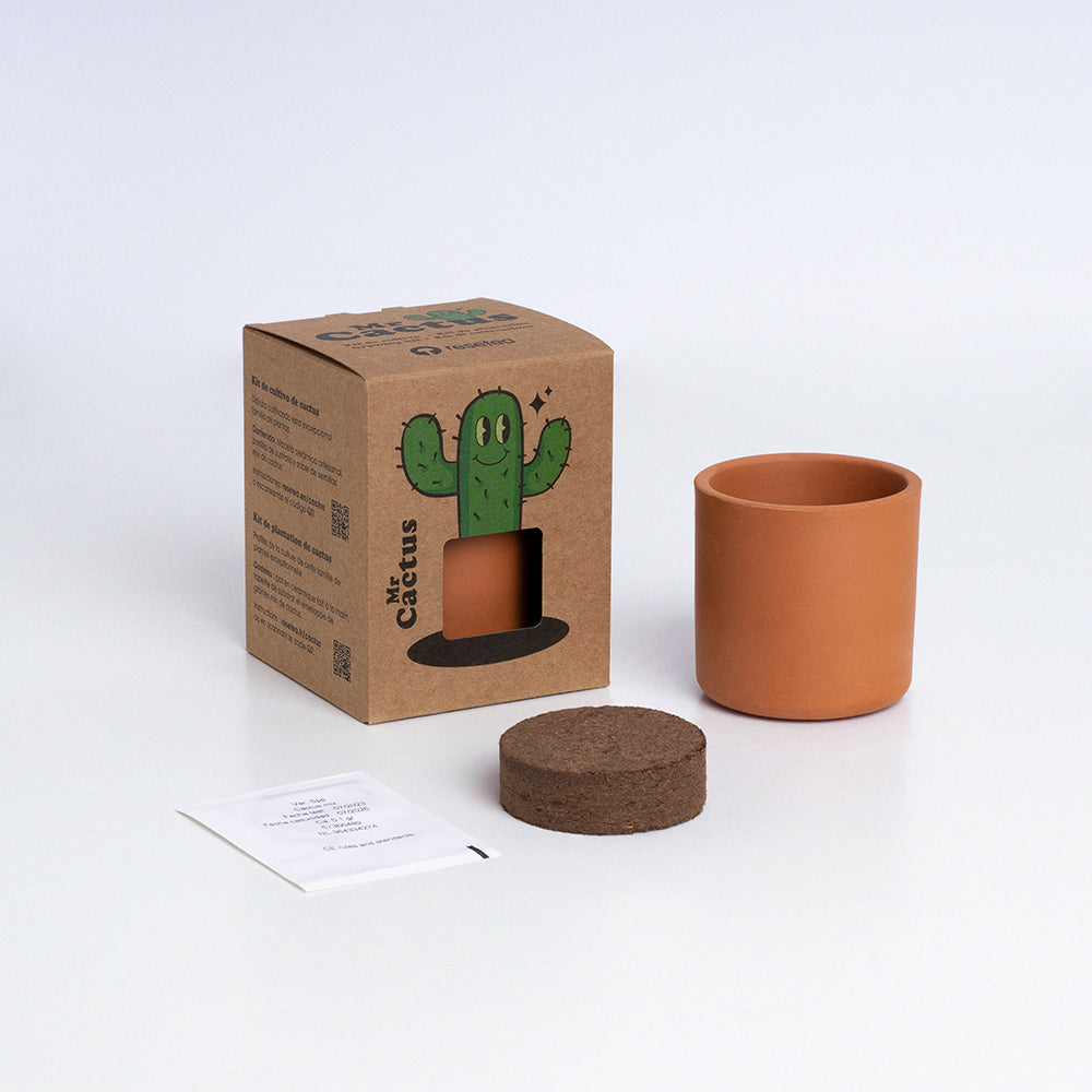 Mr. Cactus | Kit De Cultivo De Cactus Con Maceta De Barro Artesanal_1