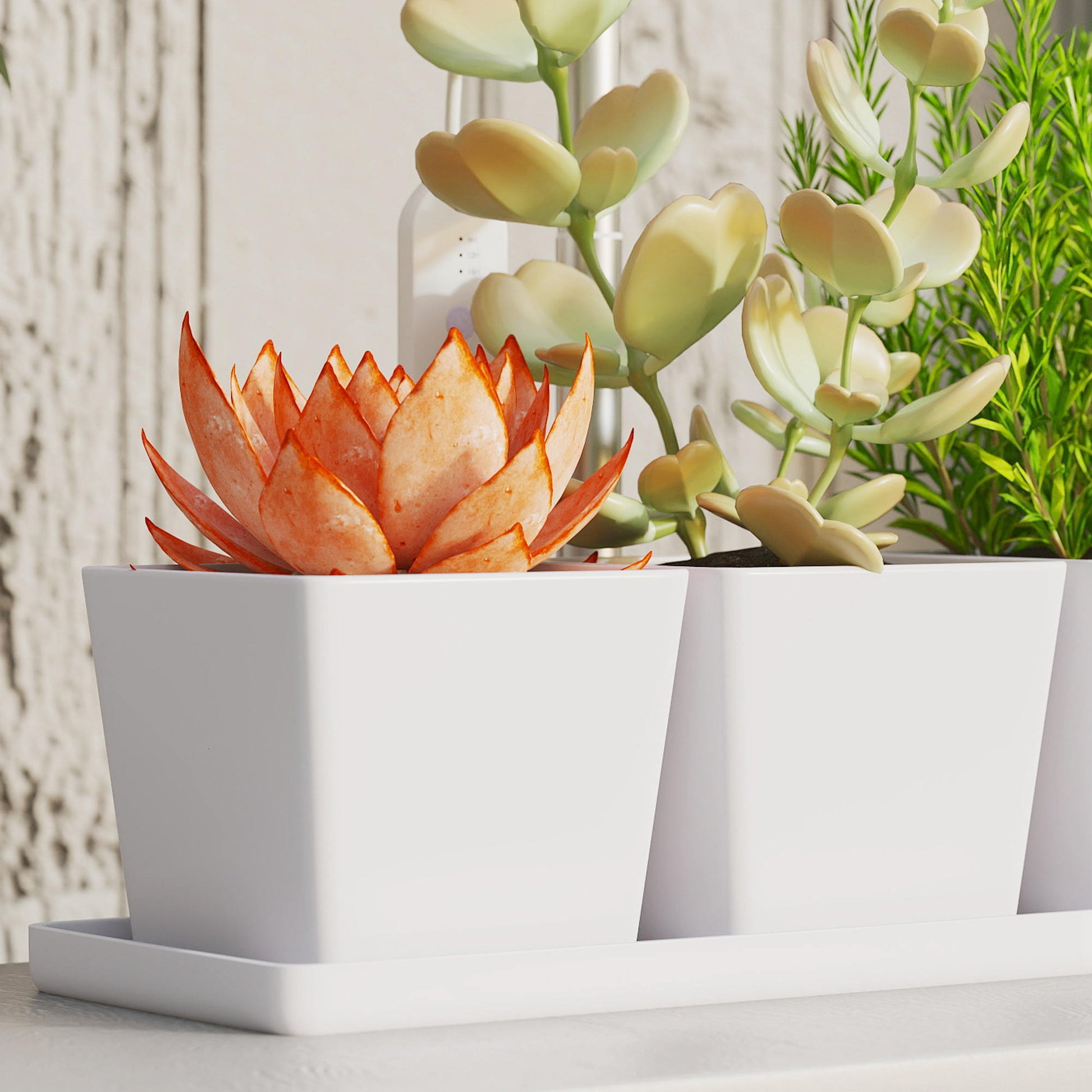 Outsunny Lámpara De Planta 30 Led Con Temporizador Automático Y 5 De Brillo_3