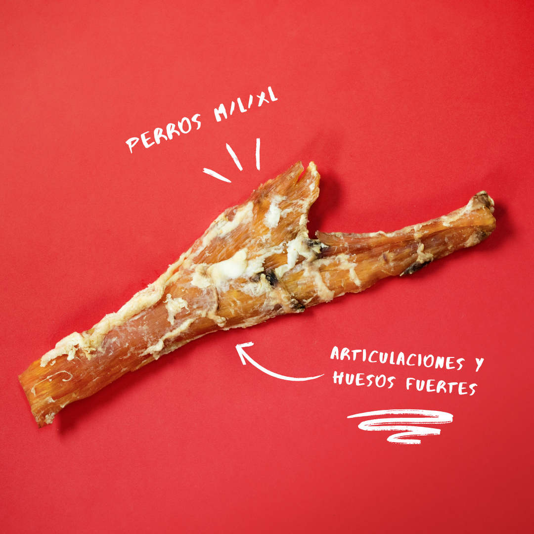 Comida Para Perros. Nervio De Ternera Xl_1