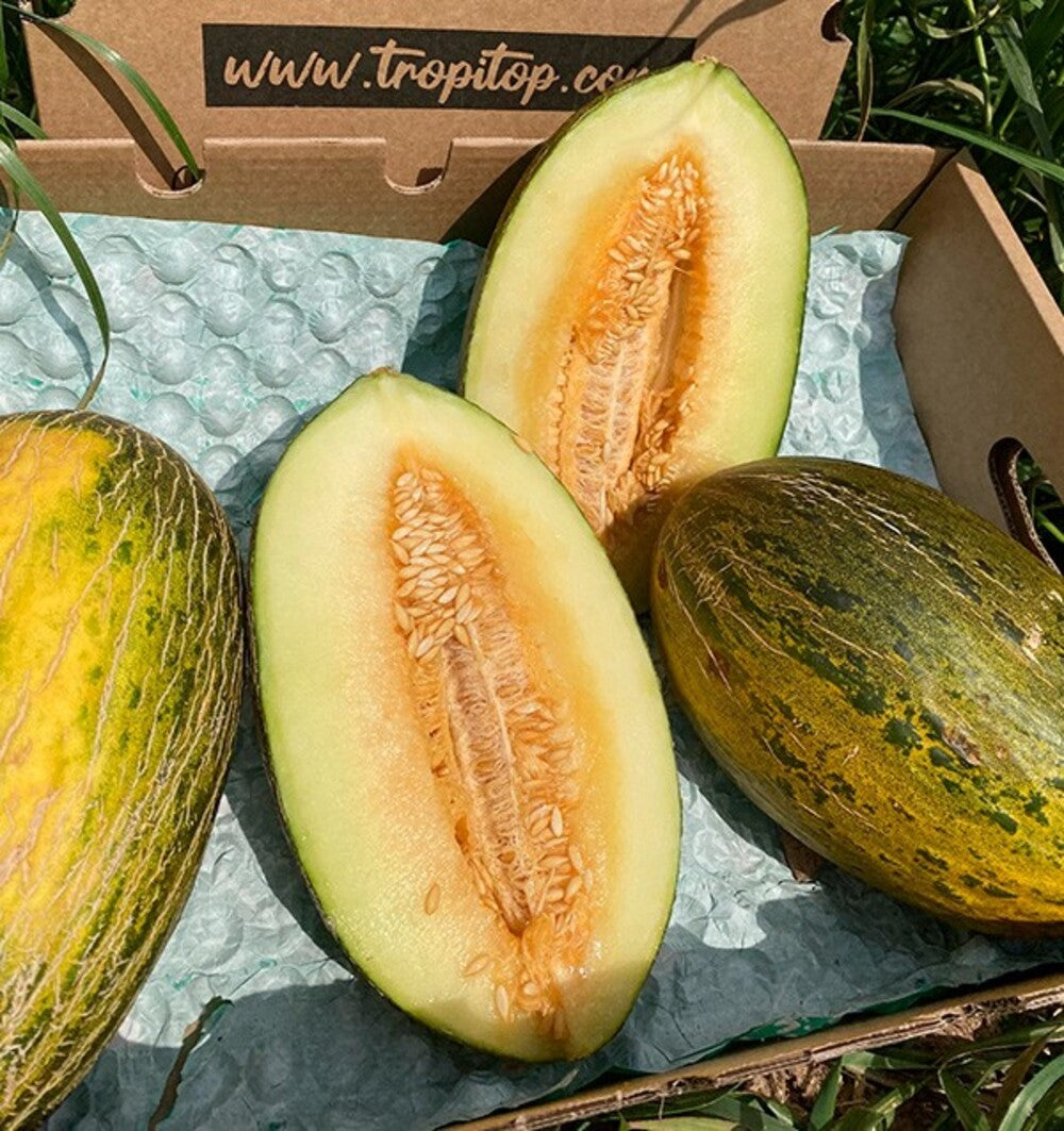 Caja De Melón Piel De Sapo Tropitop Caja De 2 Unidades (aprox. 7kg )_2