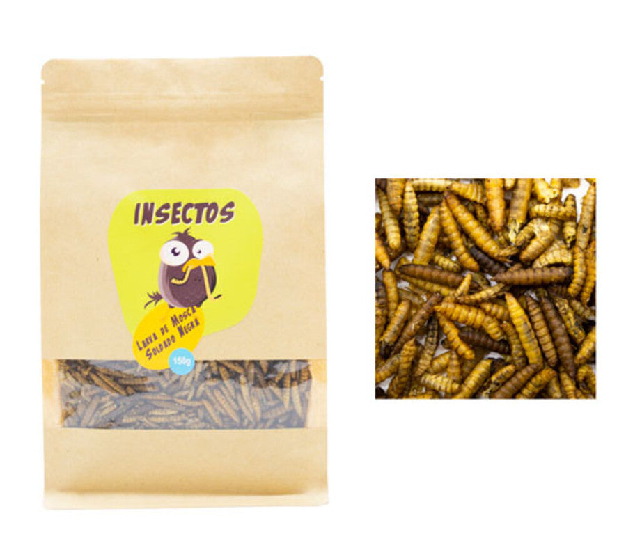 Larvas De Mosca Soldado Negra Para Pájaros, Peces, Tortugas, Roedores Y Reptiles – 60g - Black Soldier Fly_0