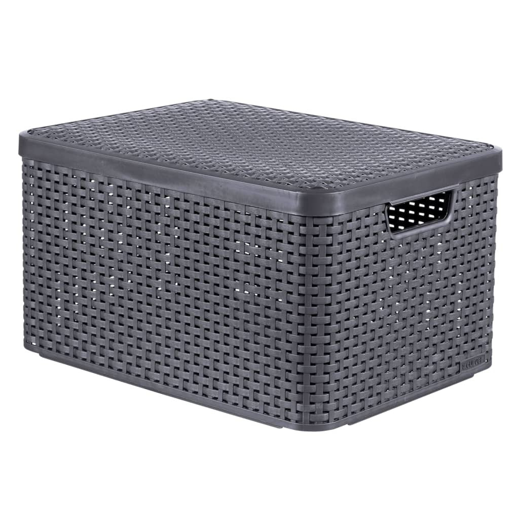 Curver Caja De Almacenamiento Con Tapa Style L Plata Metalizada 30 L_0