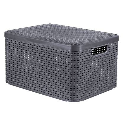 Curver Caja De Almacenamiento Con Tapa Style L Plata Metalizada 30 L_0