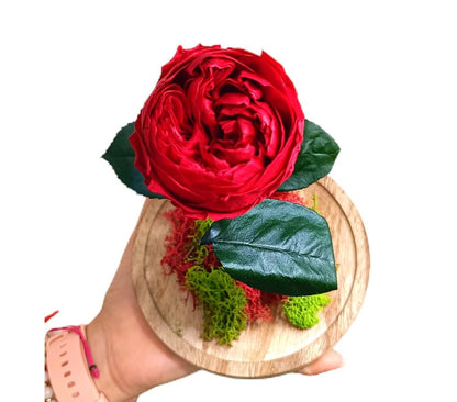 Mundo Eterno Peonía Roja En Cúpula 12x20cm