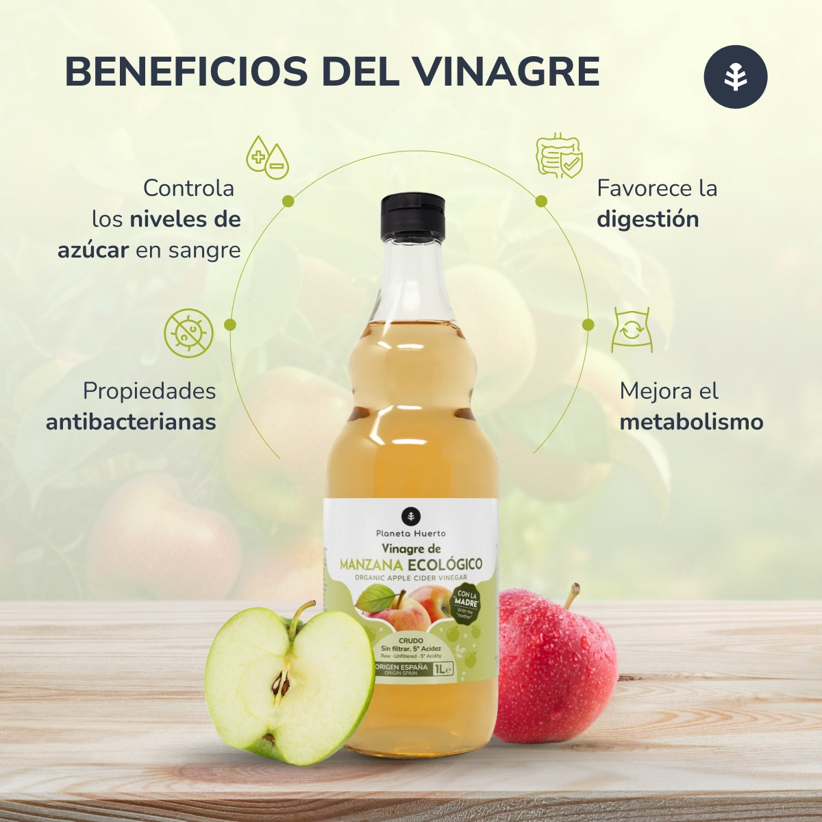Pack 6 x Vinagre de manzana ECO crudo sin filtrar con la madre Planeta Huerto 1L