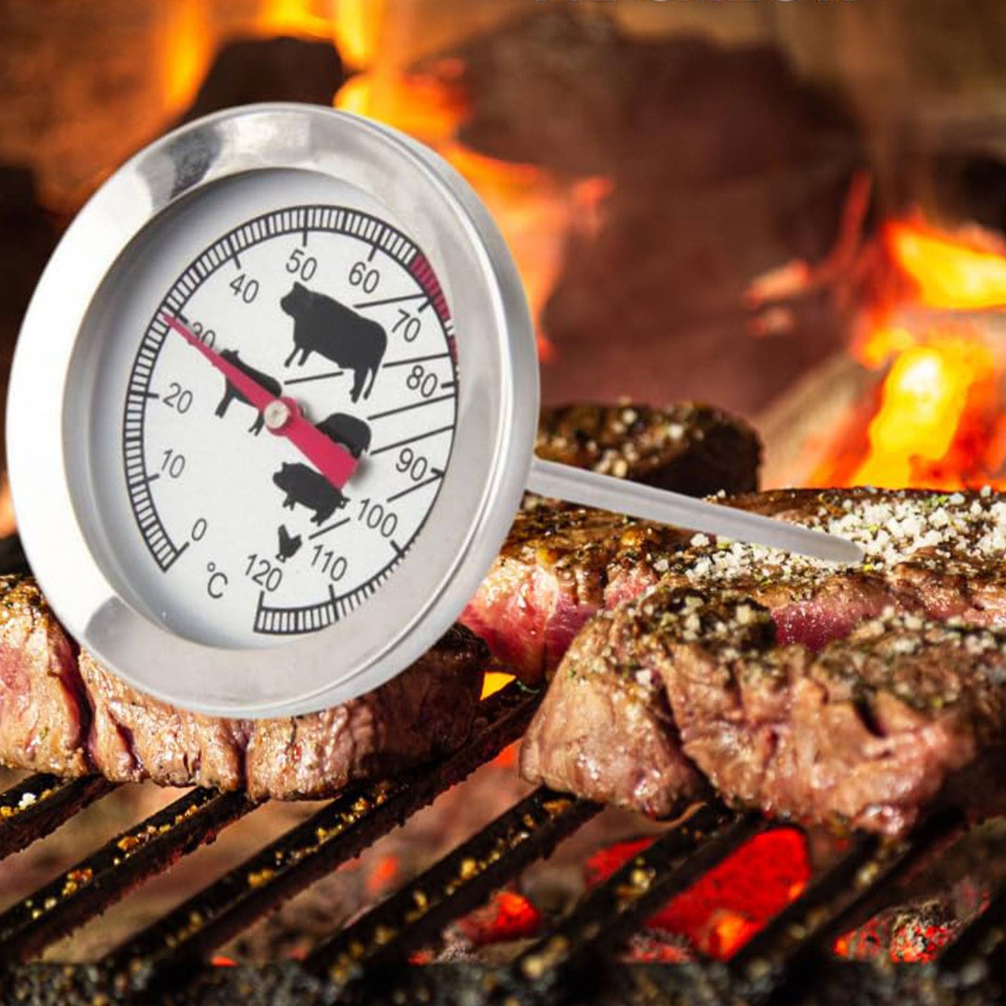 Well Home Termómetro De Carne Para Barbacoa En Acero Inoxidable Ø5,4x12cm_3