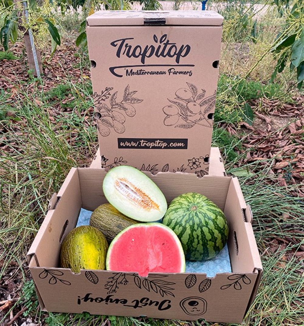 Caja De Sandía Y Melones Tropitop_2