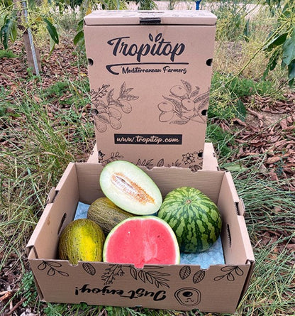 Caja De Sandía Y Melones Tropitop_2