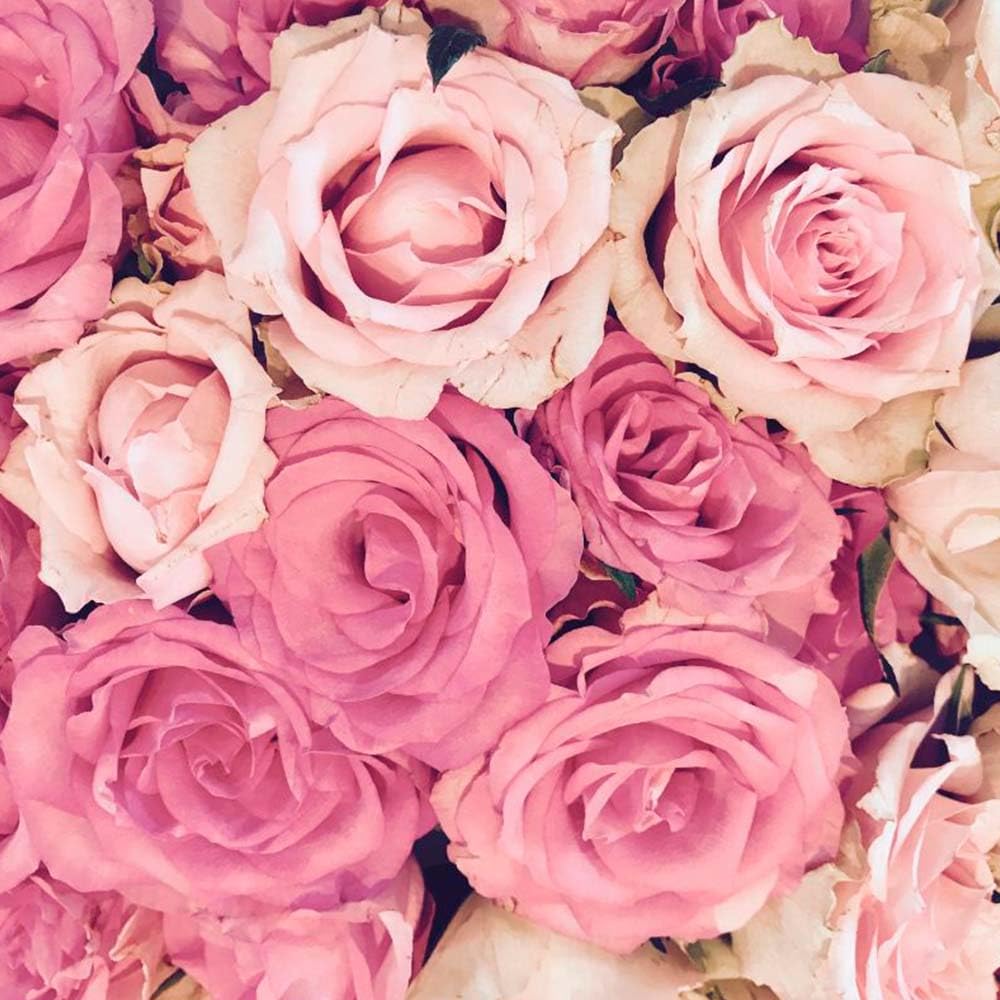 Pack 3x Fragancias Lámpara Catalítica 200ml: 2 Aroma Bed Of Roses + Limpiador Neutro. Disfruta De Tu Aroma Favorito_2