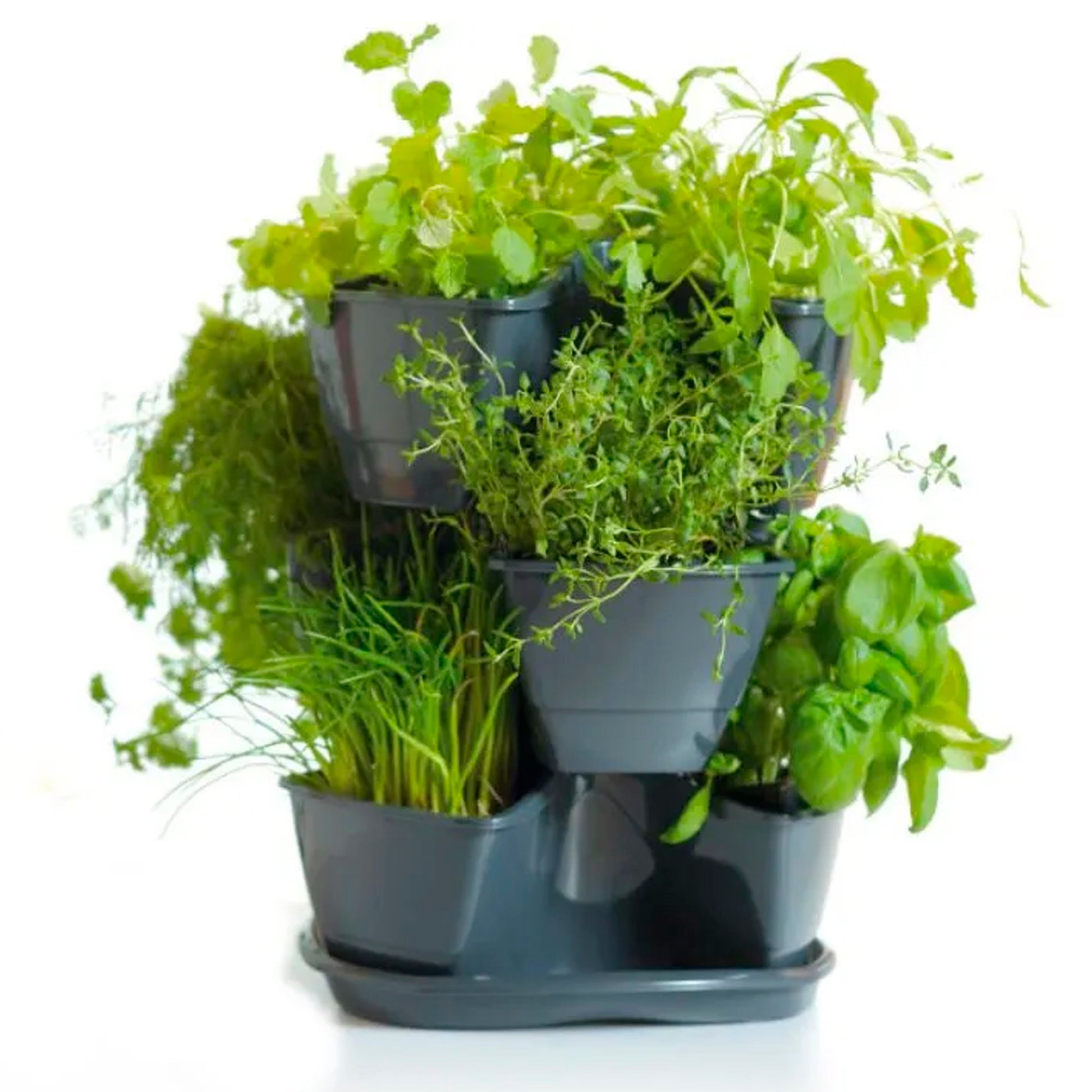 Jardín Vertical Colgante Coubi Herbal 9l., Dimensiones (mm) 295x295x880, Color Grafito_5