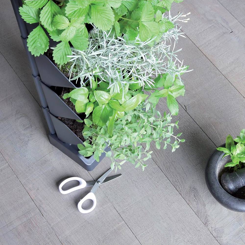 Macetero Vertical Prosperplast Mini Cascade De Plastico En Color Antracita 19,5 (largo) X 11,4 (ancho) X 47,5 (alto) Cm Con Tijeras De Jardin_4