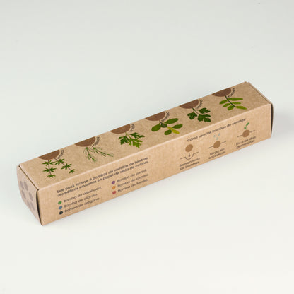 Pack 6 Bombas De Hierbas Aromáticas | Regalo Original Para Amantes De La Cocina_3
