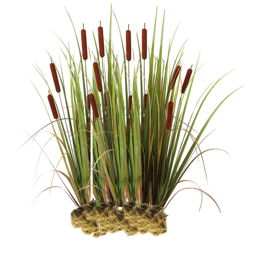 Espadaña - Typha Latifolia - 15 Plantas_0