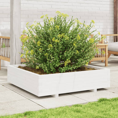 Jardinera Madera Maciza De Pino Blanco 100x100x26,5 Cm_2