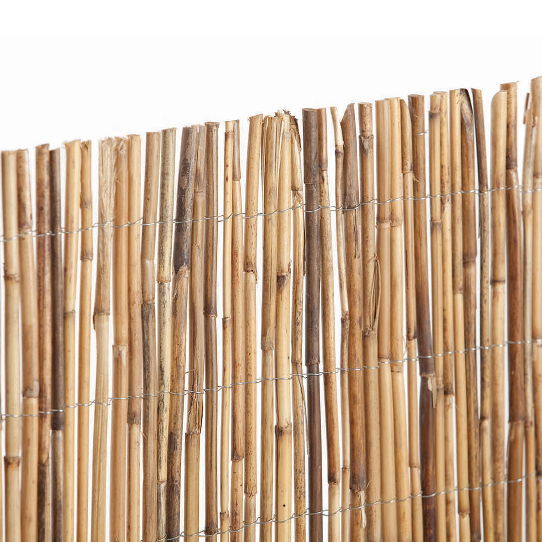 Cañizo De Bambú Entero - Natural Y Resistente 2x5 M / Multicolor_1