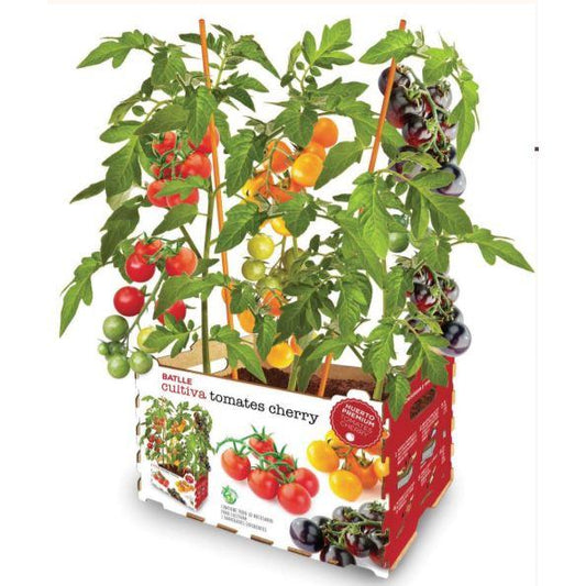 Huerto Premium Tomates Cherry Batlle