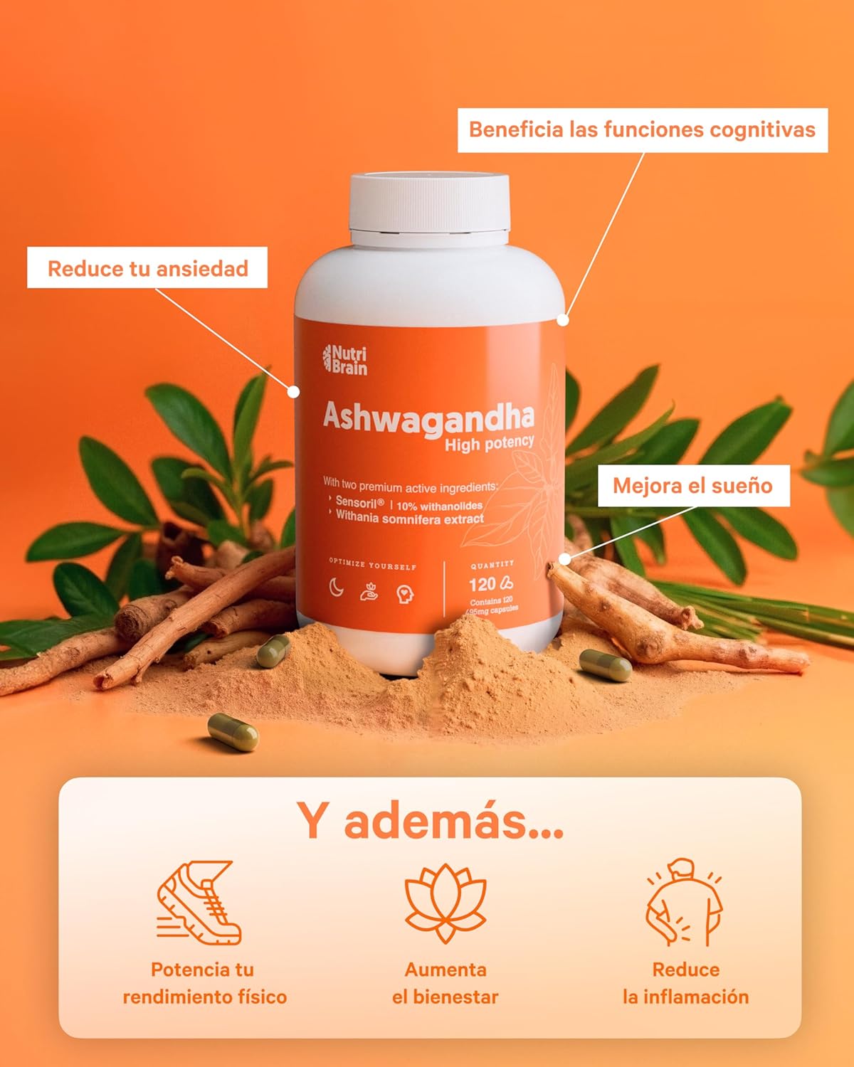 Ashwagandha Sensoril Adaptógeno Para Estrés Y Sueño Nutribrain 120 Cápsulas_3