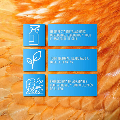 Soluclean - Limpieza De Gallineros, Perreras, Comederos Y Material - Disolver Y Limpiar Las Instalaciones (1 L)_1