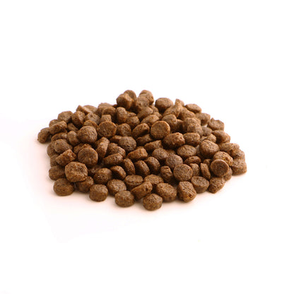 Fish4dogs Pienso Razas Pequeñas Sin Cereales – Pescado Blanco Y Patata 6 Kg_1
