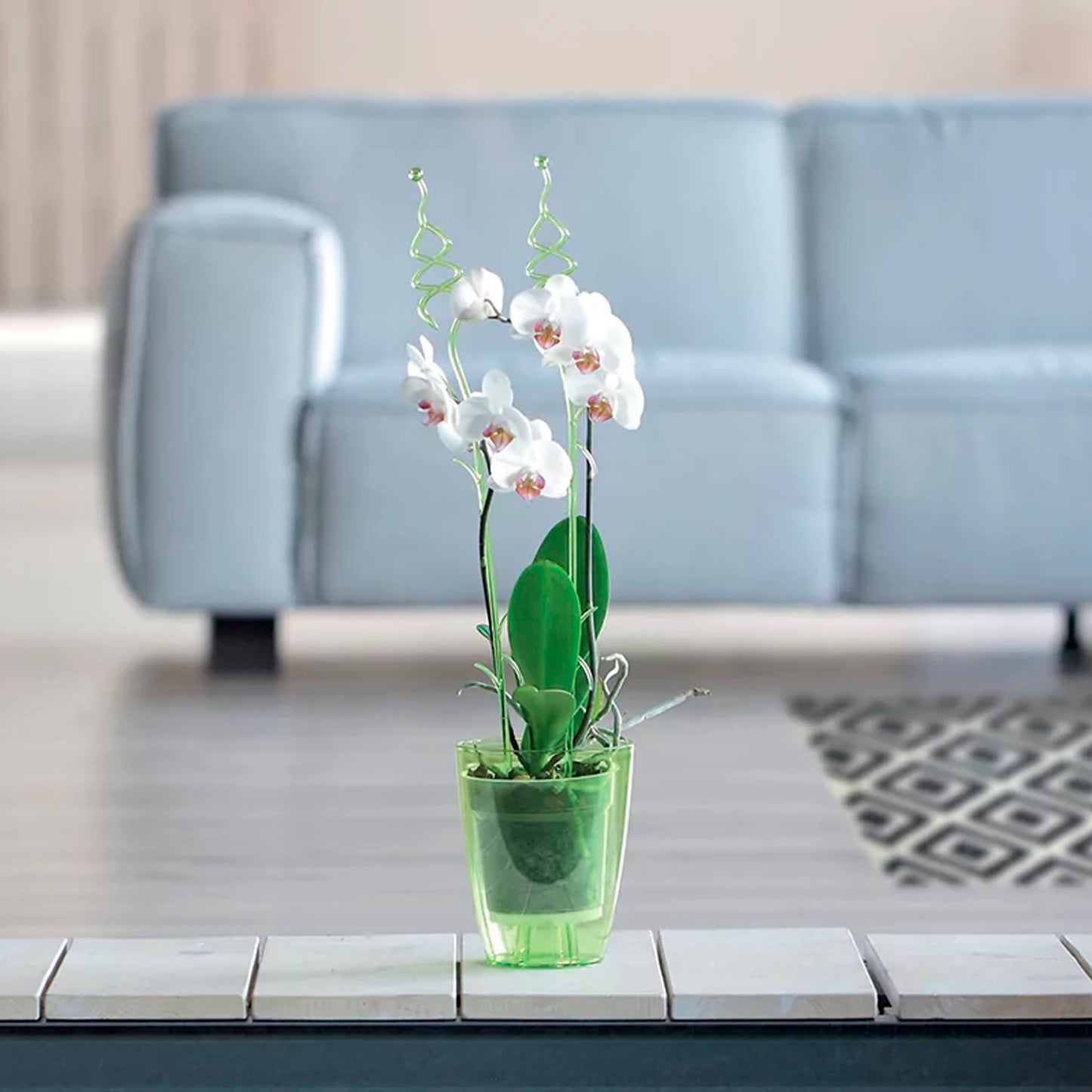 Maceta Coubi Orchid 2,4l., Dimensiones (mm) 160x160x183, Color Transparente_5