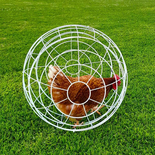 Esfera Para Gallinas Gaun - Ø 55 Cm - Ø 55 Cm_0