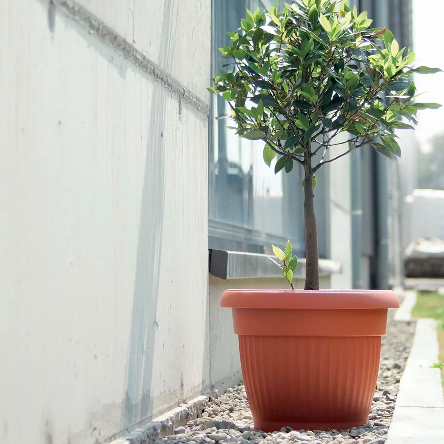 Maceta Terra 0,7l., Dimensiones (mm) 130x130x100, Color Terracota_3