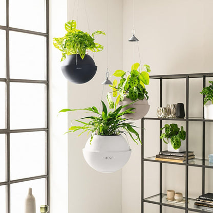 Lechuza Jardinera Colgante Bola Color 23 All-in-one Color Marrón Arena_4
