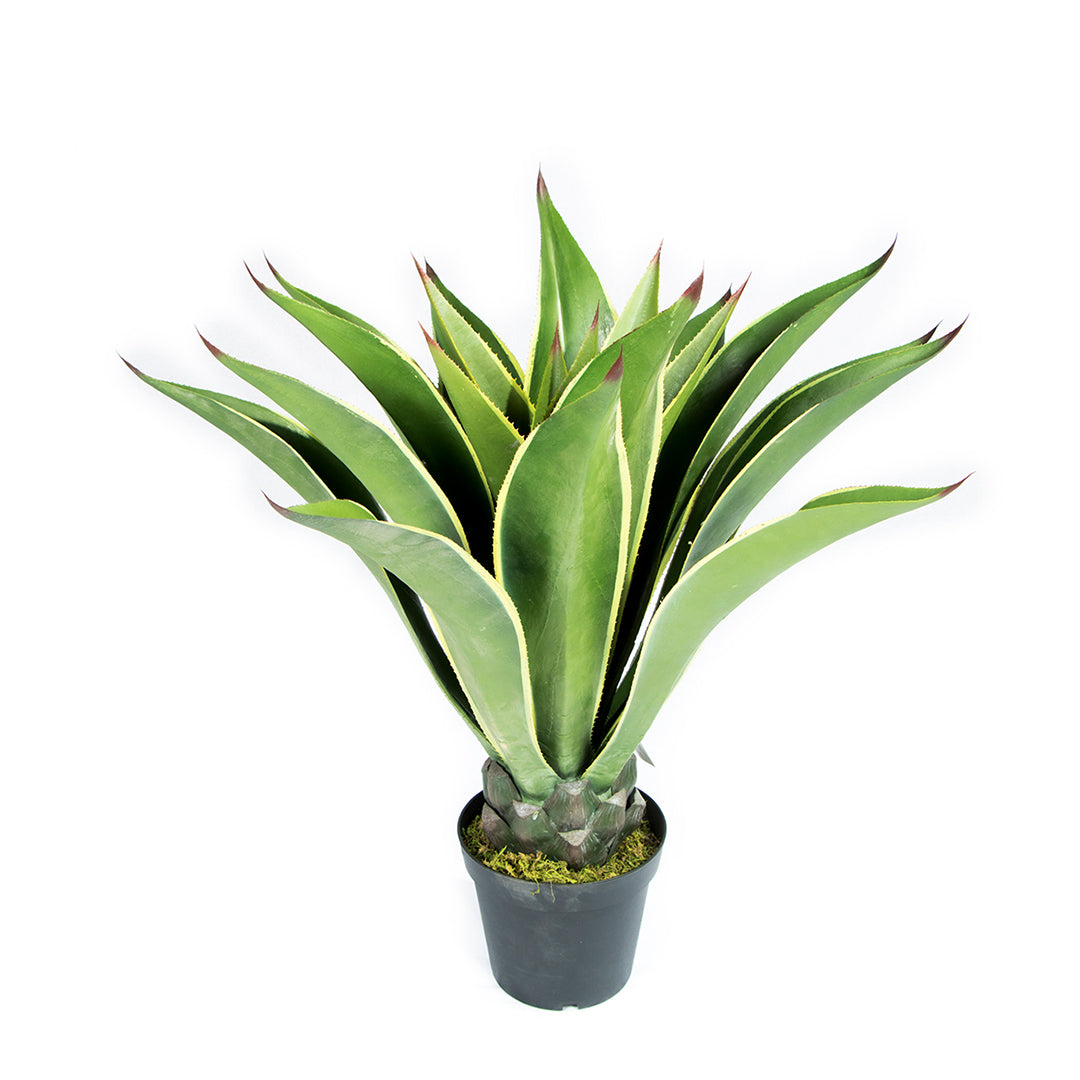 Planta Artificial Agave Mini - Decoración Natural Sin Mantenimiento 0.98 M / Multicolor_0