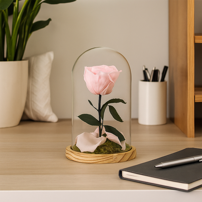 Mundo Eterno Rosa En Cúpula Rosa Claro (light Pink) 12x20cm