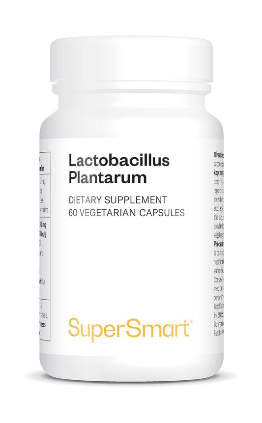 Lactobacillus Plantarum_0