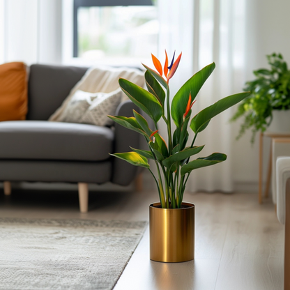 Flor Ave Del Paraíso - Strelitzia Reginea - Altura 25-40cm - ⌀9cm