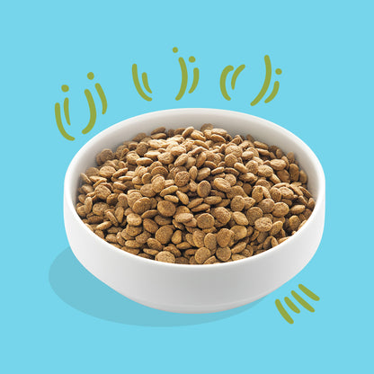 Pienso para perros Cordero Edgard & Cooper 1 Kg