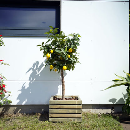 Jardinera de madera cuadrada Kub 40 cm 30 L